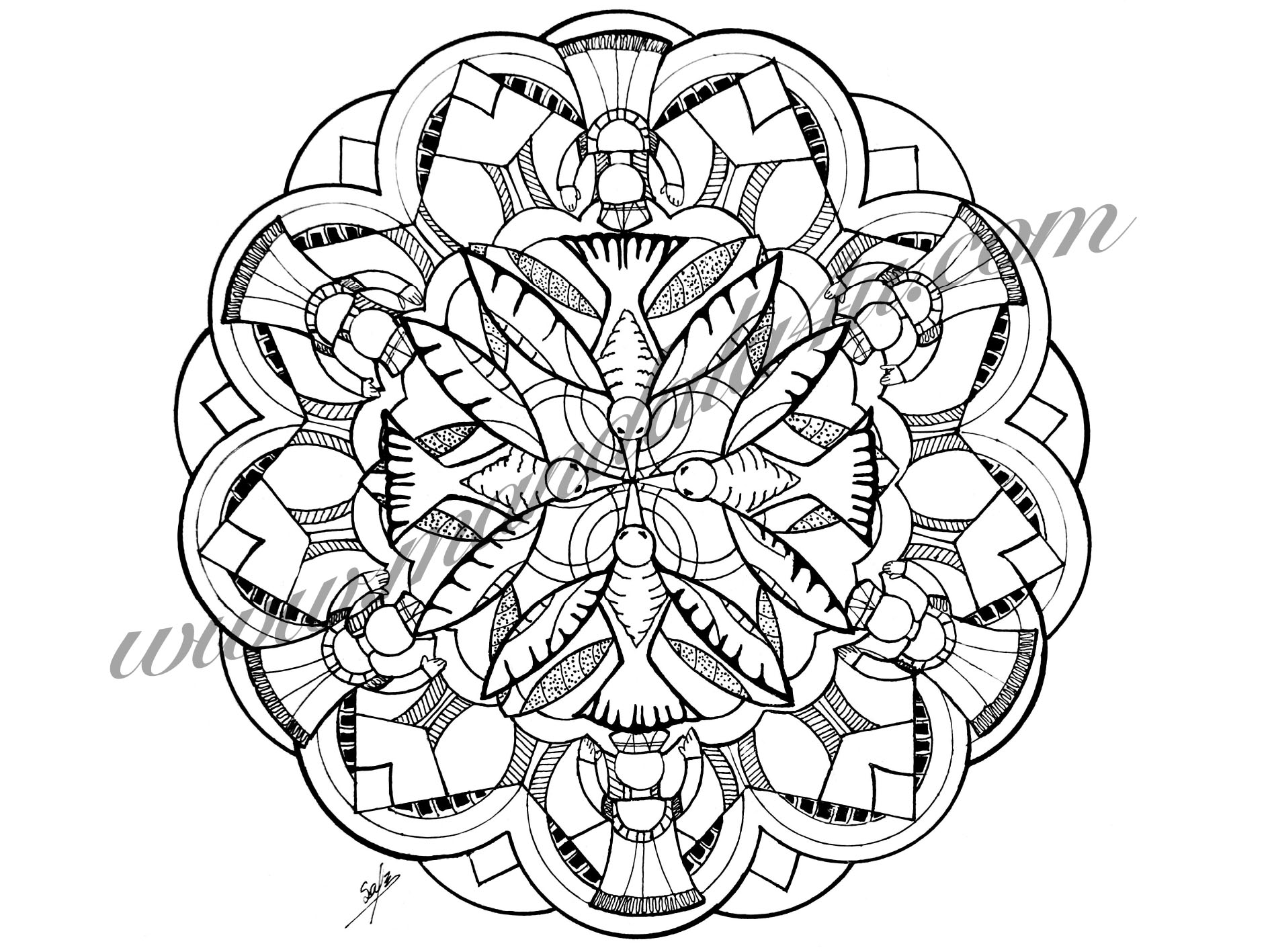 14
